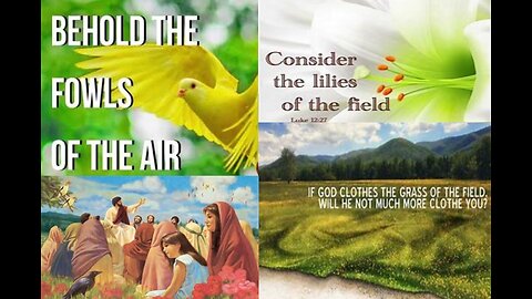 FOWLS, LILIES & COMMON GRASS #597