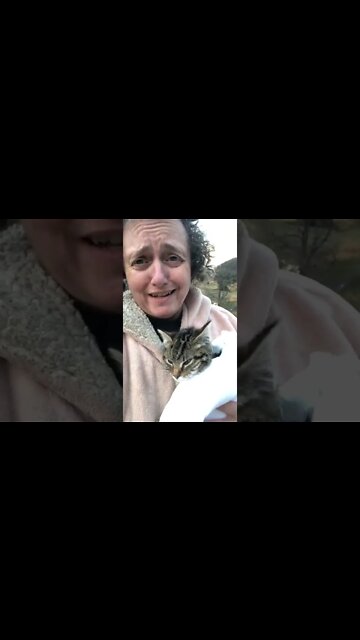 No more rescue animals!!! Famous last words 😆