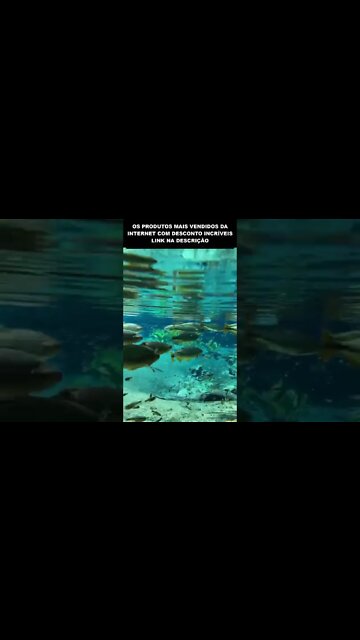 A ÁGUA MAIS CRISTALINA DO MUNDO