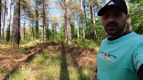 mini vlog before a hike. New forest 17th May 2022