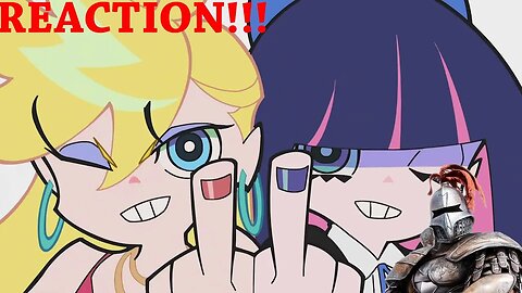 NEW PANTY AND STOCKING Reaction!!!