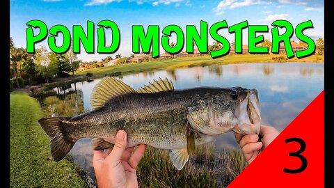 Florida Bass Fishing!!