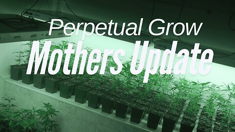 Perpetual Grow Update