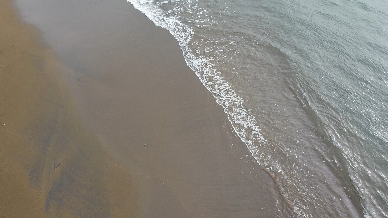 Drone shore test