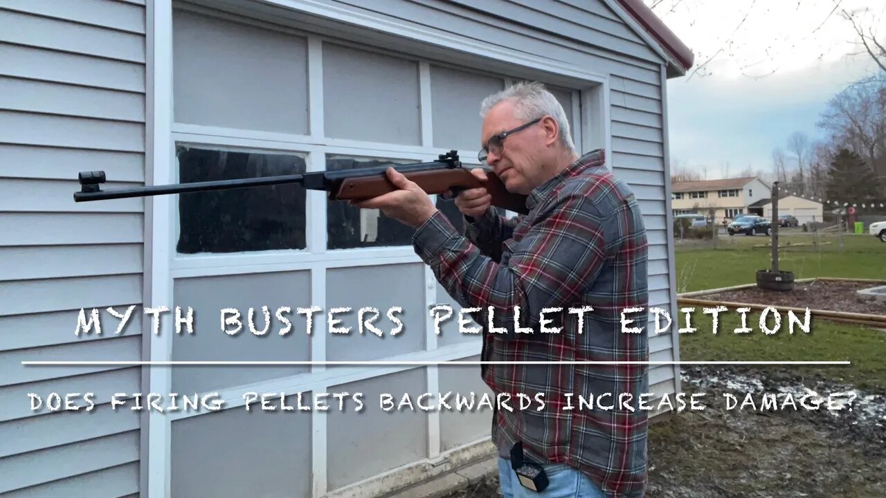 Myth busters pellet edition does a backwards pellet cause more damage? Hydroshock feinwerkbau 124