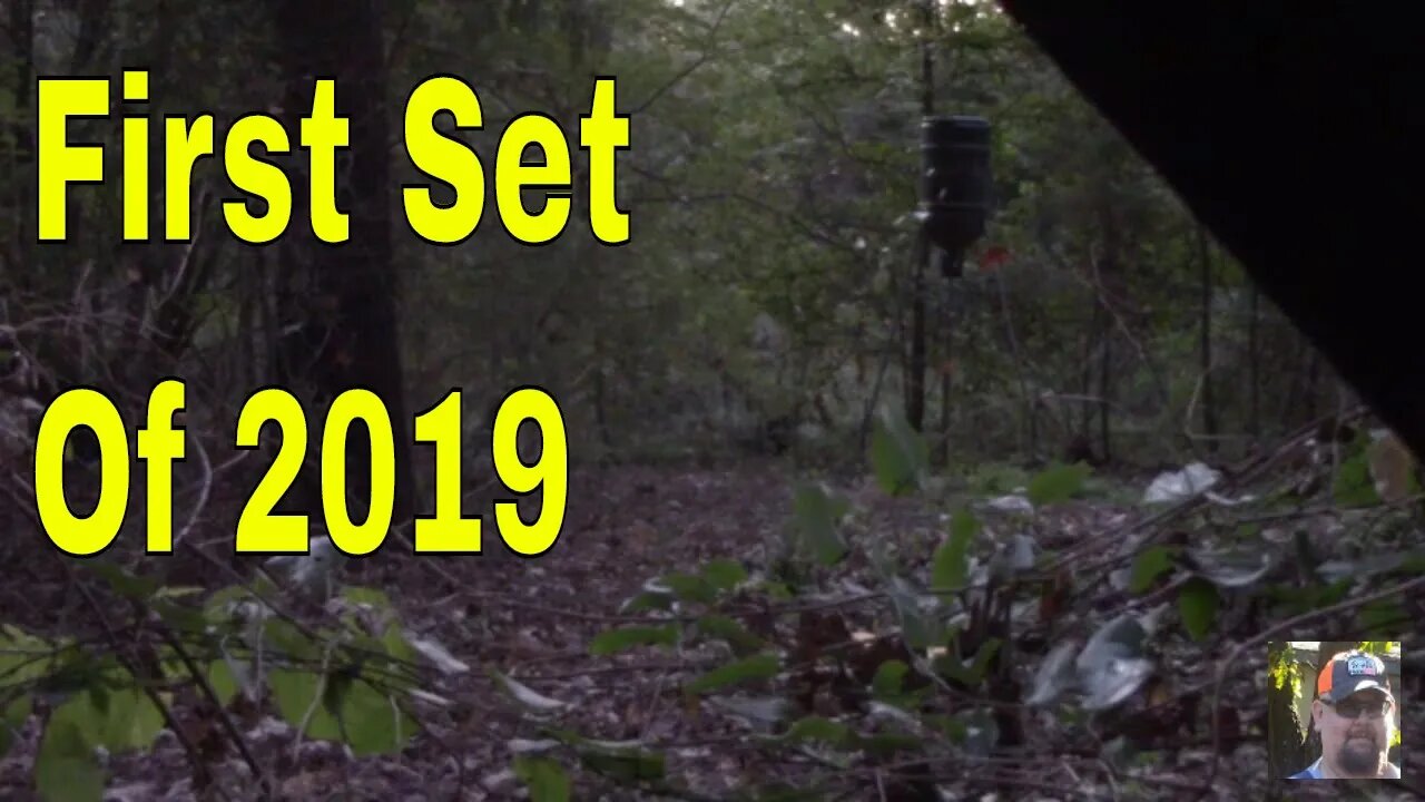 First Set of 2019 Bow Season