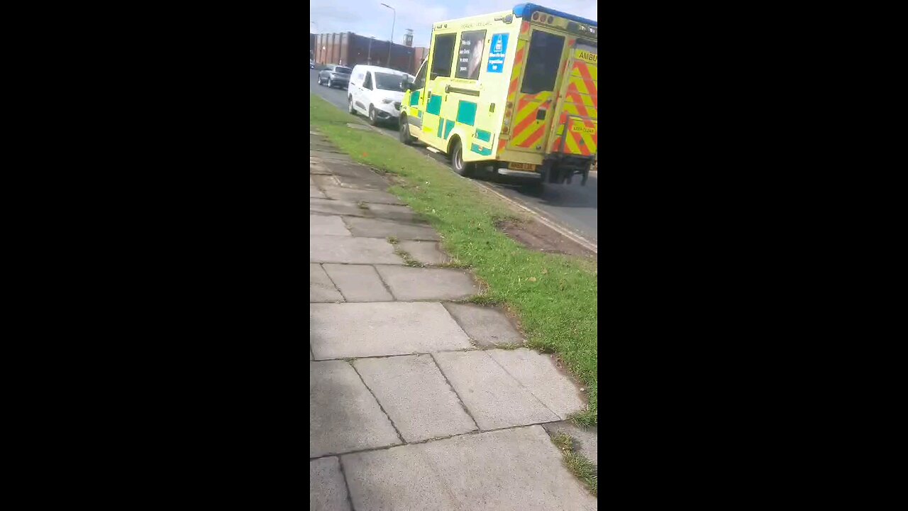 another heart attack 💔 another ignorant sheep
