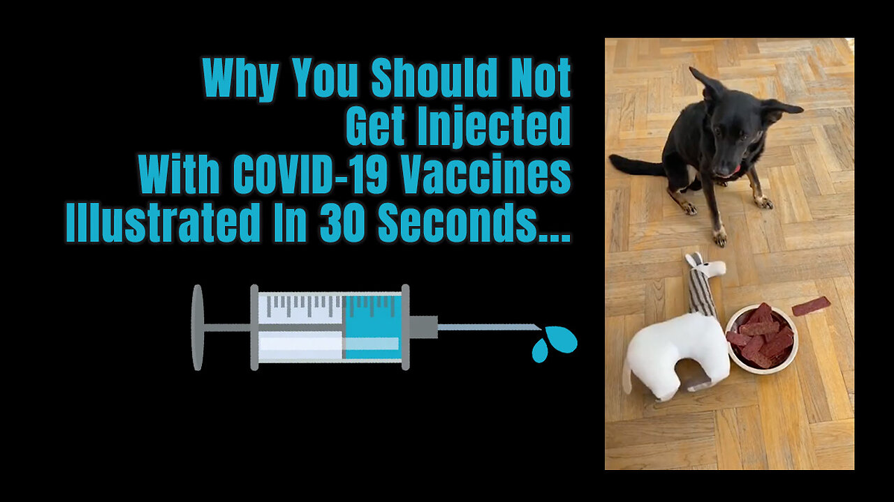 Why You Should Not Get Injected With COVID-19 Vaccines Illustrated In 30 Seconds...