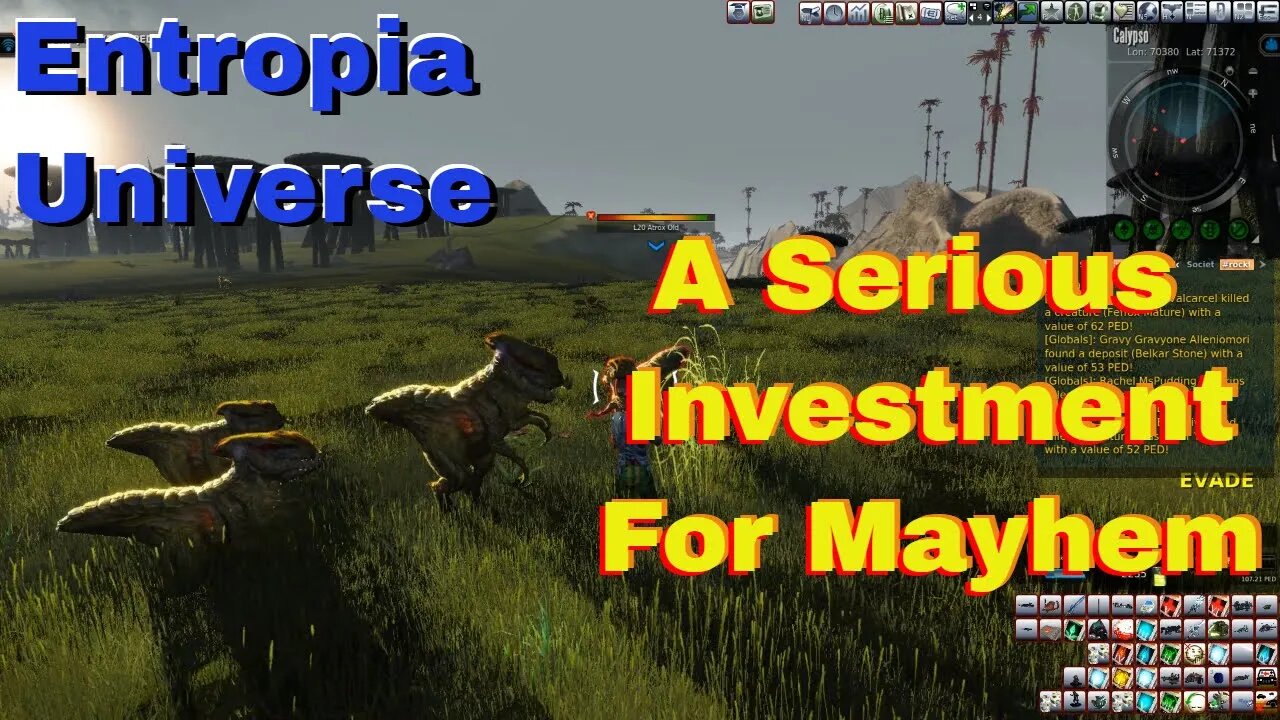 A Serious Investment For Entropia Mayhem