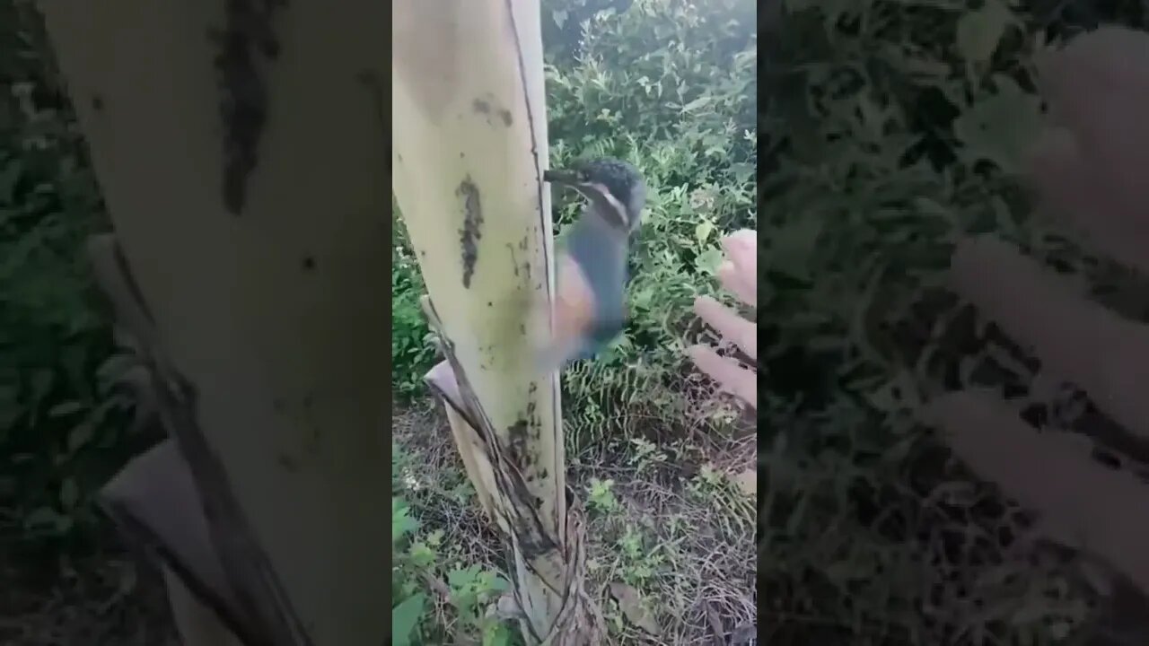 INCREVA POR FAVOR - ENTRETENIMENTO - SUBSCRIBE PLEASE - ENTERTAINMENT