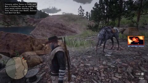 RED DEAD ONLINE
