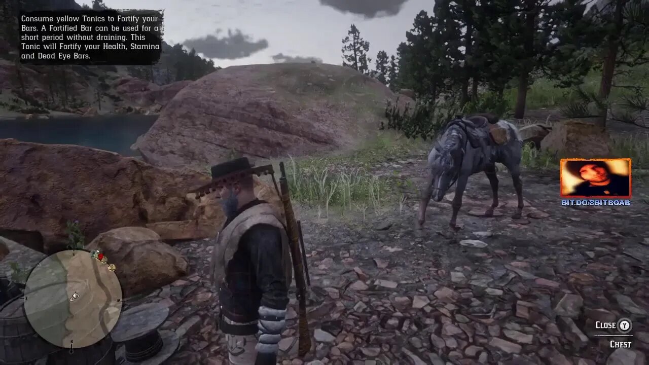 RED DEAD ONLINE