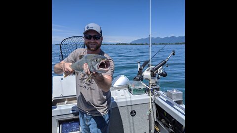 Catching Lake and Bull Trout on Flathead Lake