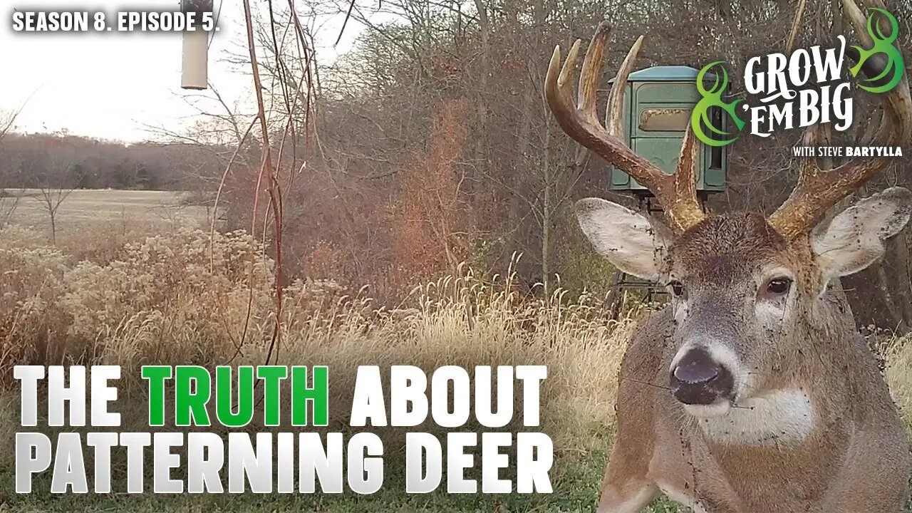 The Truth About Patterning Whitetails