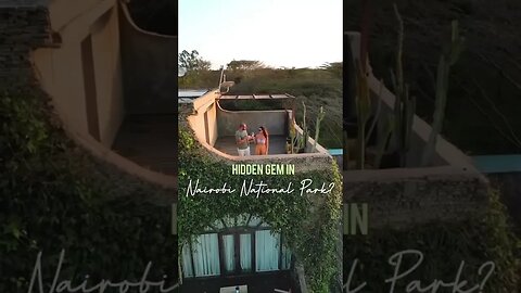 Nairobi National Park Kenya | But with a hidden gem | Ololo Lodge