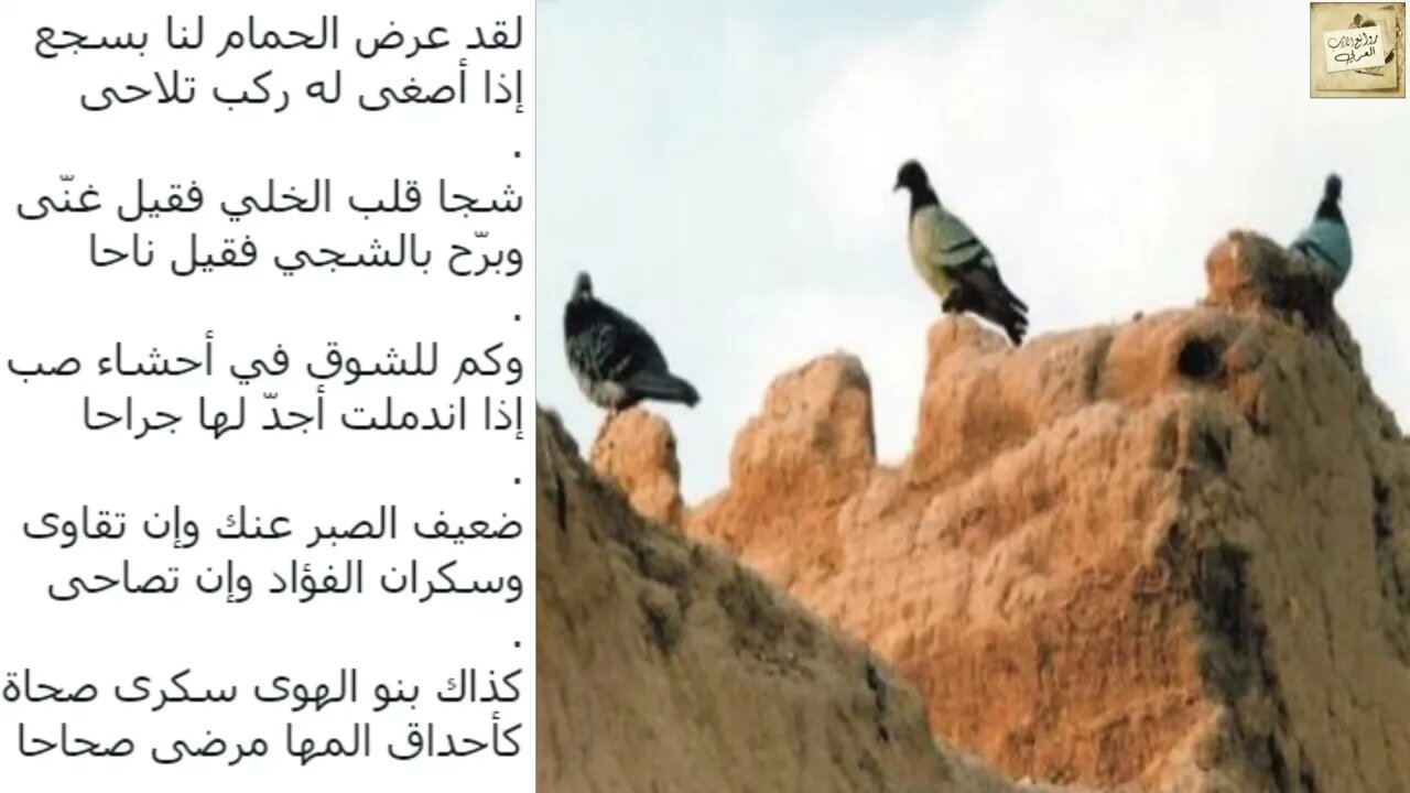 المنازي : لقد عرض الحمام لنا بسجع