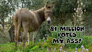 81 Million Votes, My Ass (Kari Lake Music Video)