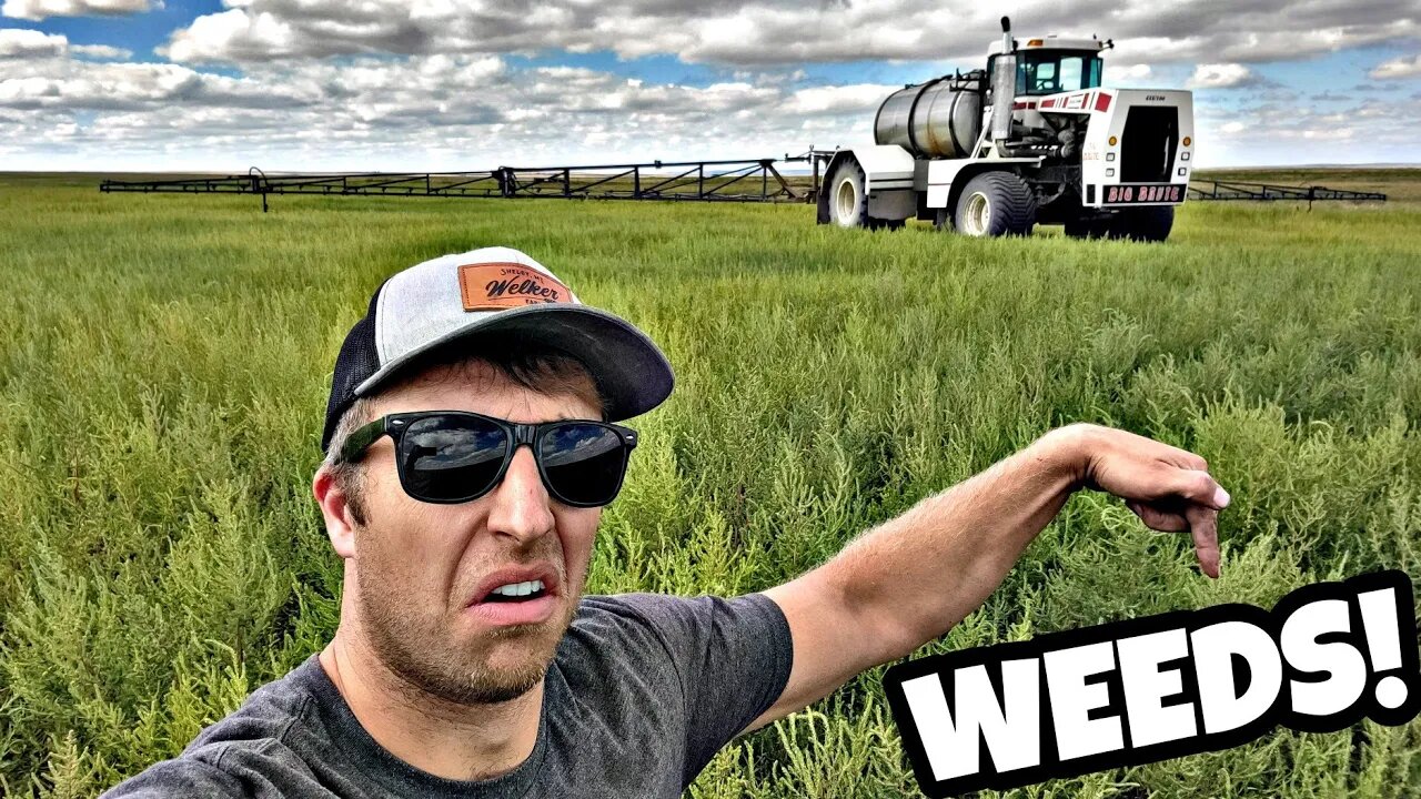 Weed Apocalypse! & Baby Welker Is Here!