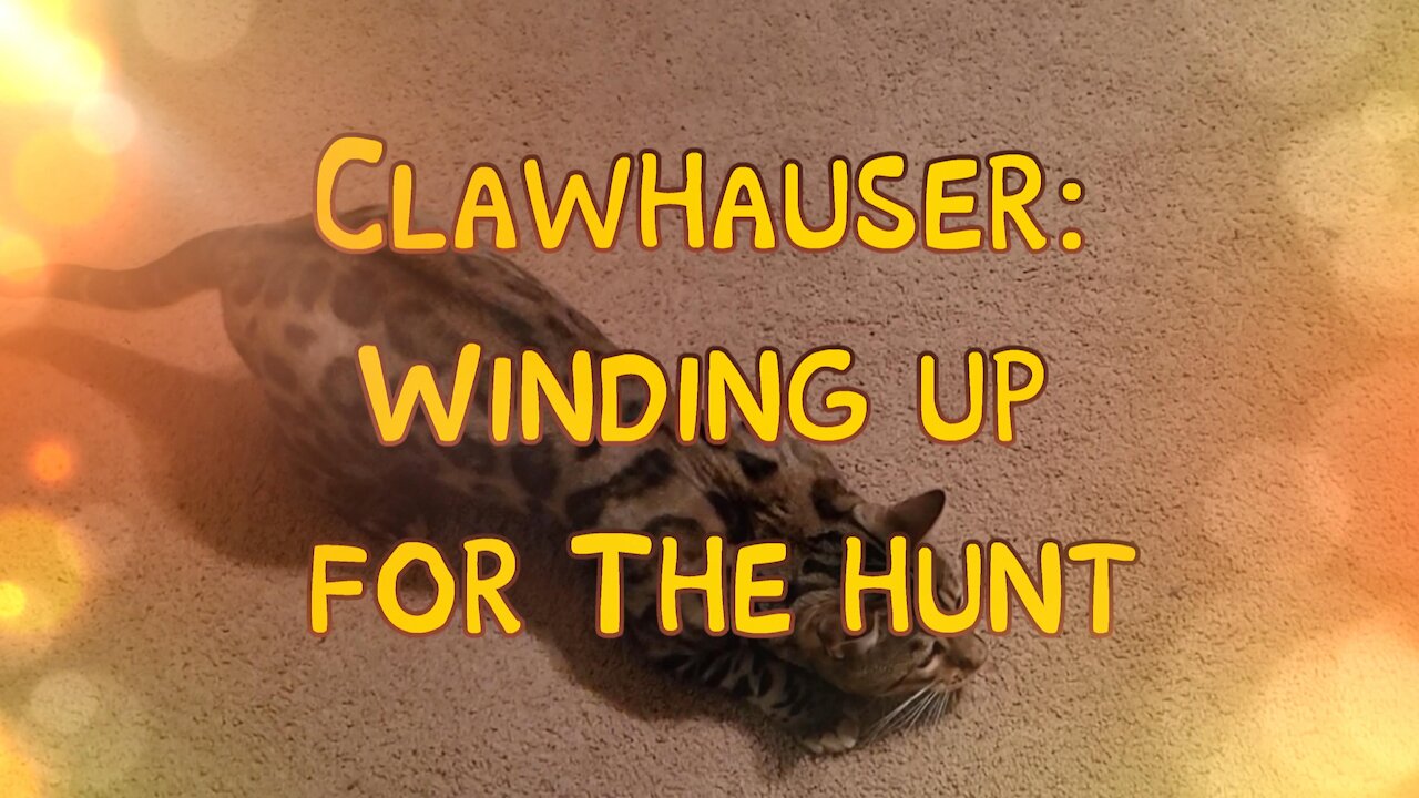 Clawhauser Winds Up for the Hunt