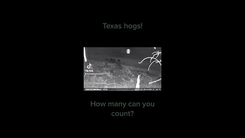 Texas hunting