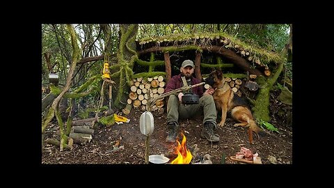 Build a Shelter of Wood and Leaves - Camping Adventure in the Wilderness-DIY- ASMR SOUND