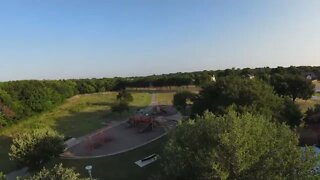 DJI FPV : PondPark at Dawn (395)