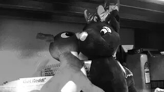 if i could make a case for "crazy"