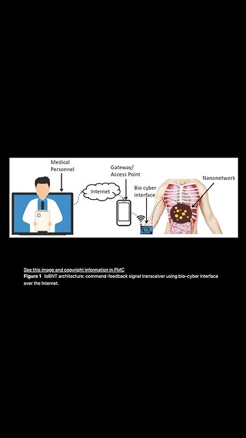MAC Id's in Human Bodies - It's for your health