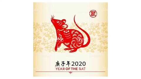 The Year Of The Rat