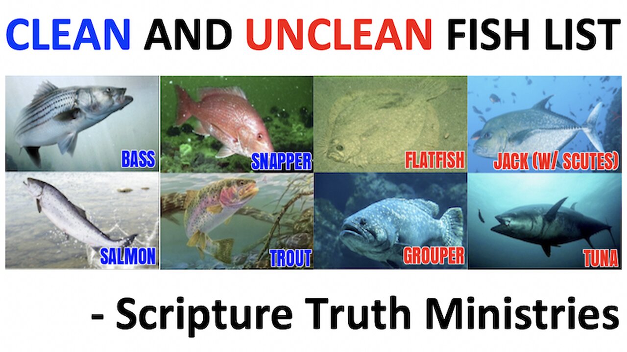 CLEAN AND UNCLEAN FISH LIST