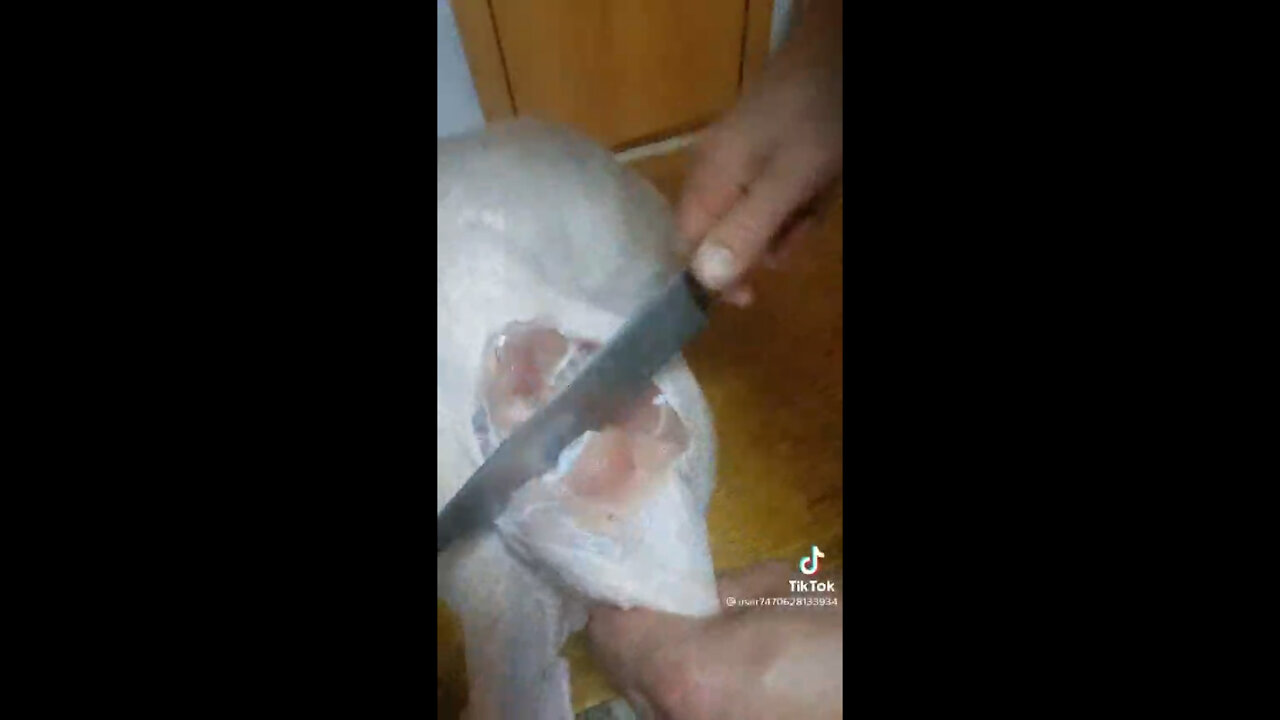 ¿Que están haciendo con los pollos? What are they doing with chickens?