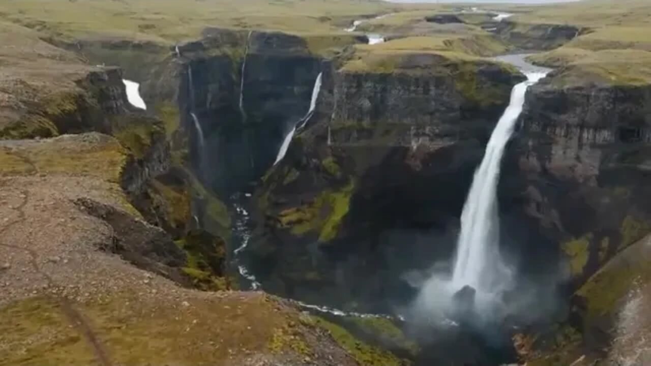 Slow down and feel the beauty of the world 19