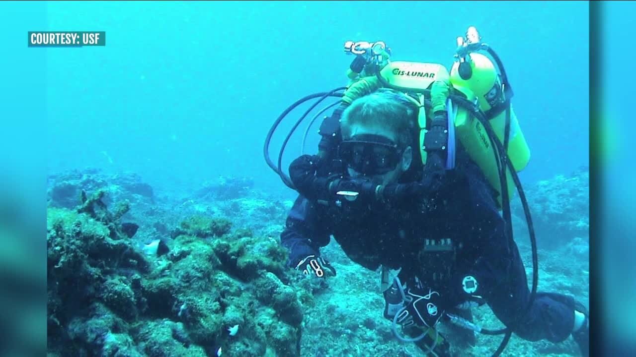 USF professor tries to break world record by living underwater for 100 days