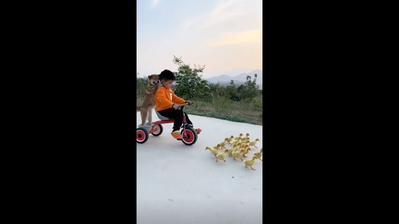 Get on my favorite scooter and run all the way...