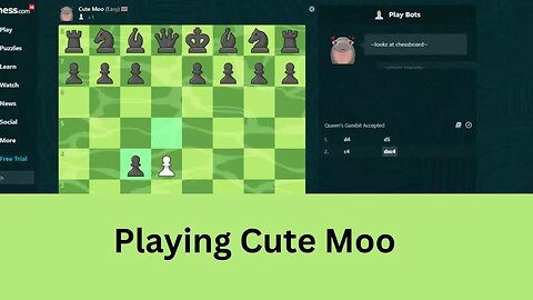 Playing A Chess Game Against Cute Moo