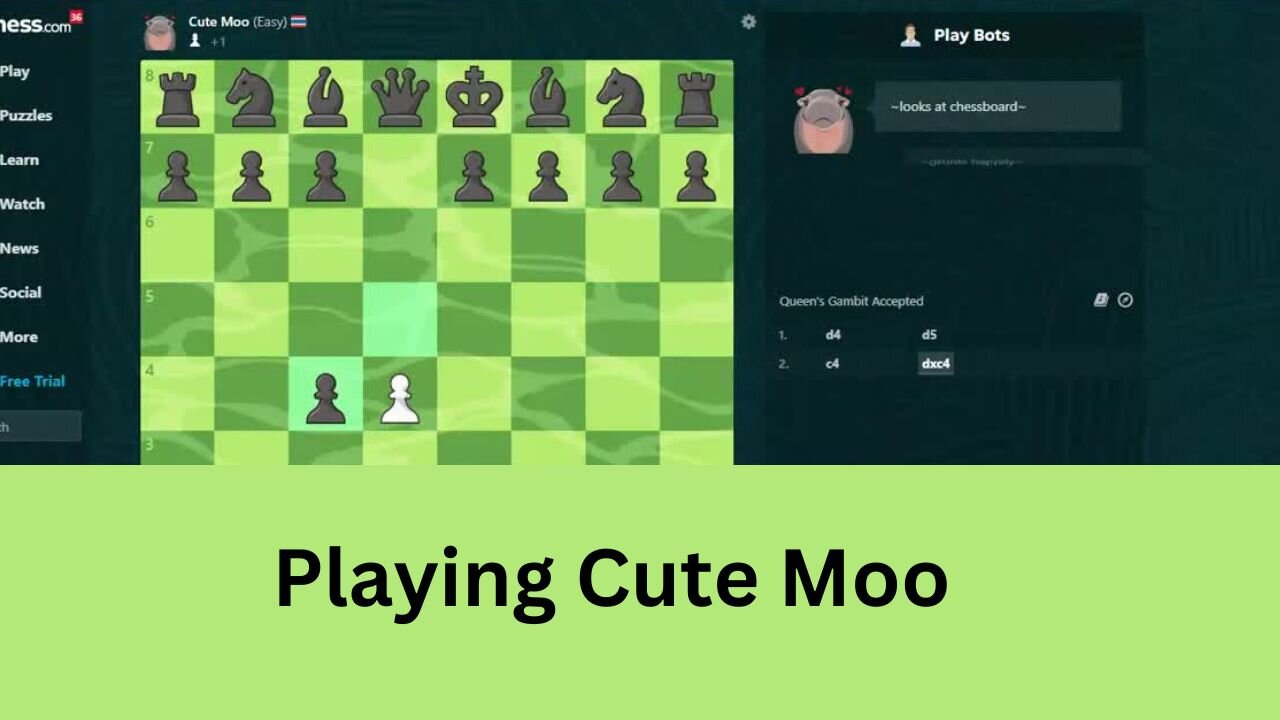 Playing A Chess Game Against Cute Moo