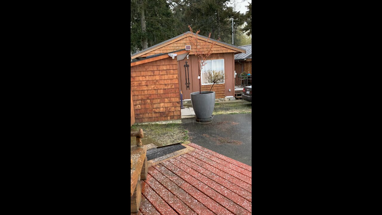 It's still snowing on Vancouver Island and it's mid-April! How is the weather there? Please speak.溫哥華島還在下雪,現在是四月中旬!你們那的天氣怎麼樣?請说说。
