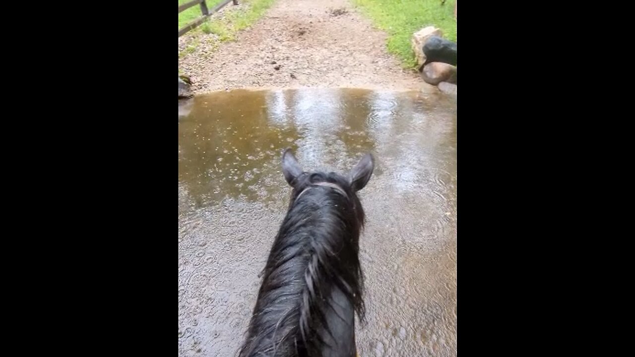 Steele - solo Waterloo trail ride - 16 Aug 2024