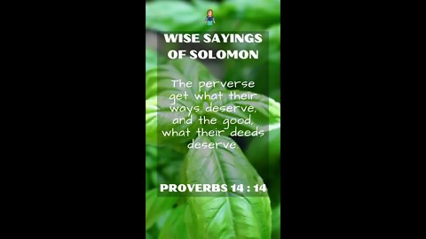 Proverbs 14:14 | NRSV Bible | Wise Sayings of Solomon