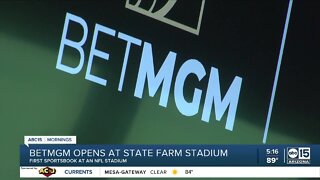 Arizona Cardinals open on-site sportsbook