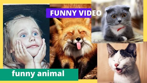 Funny animal #funny funny #|||!!!