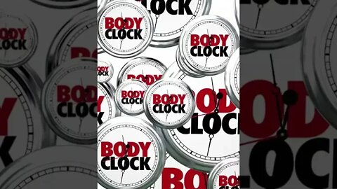 Your Body Clock