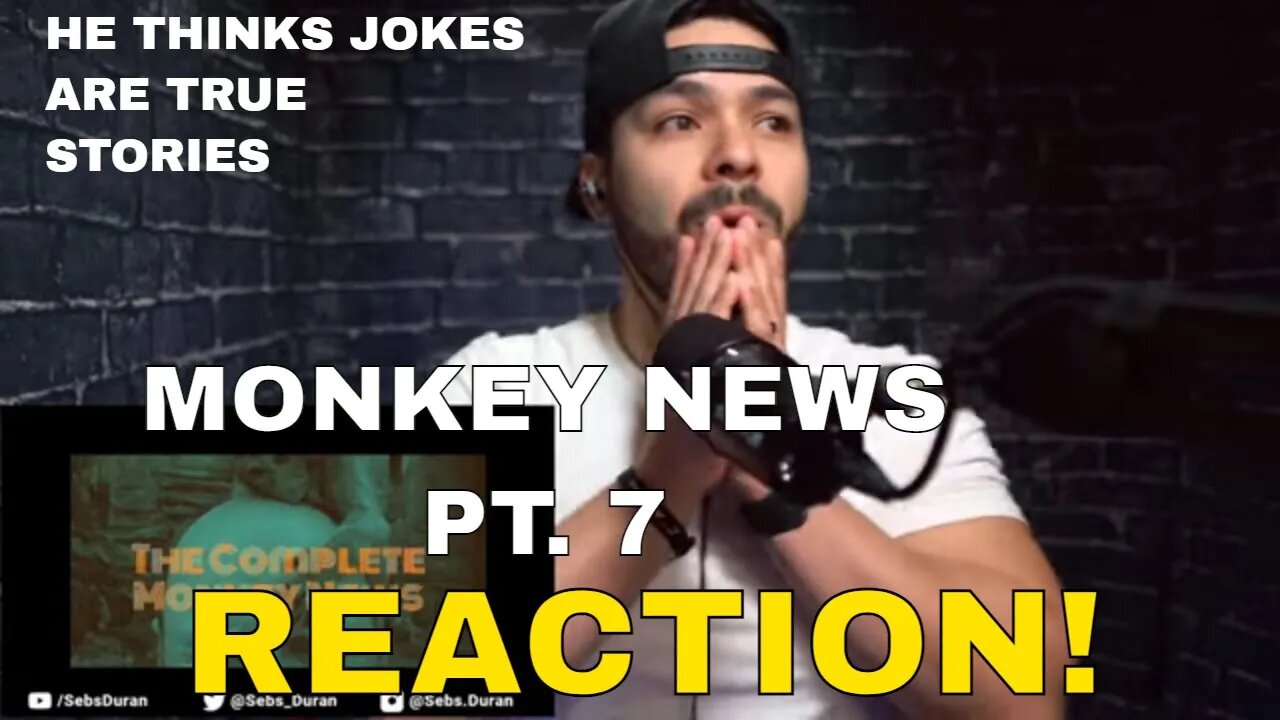 Monkey News with Karl Pilkington Reaction! pt 7