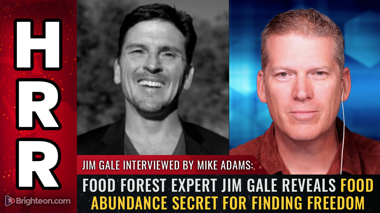 Food forest expert Jim Gale reveals food abundance SECRET for finding freedom
