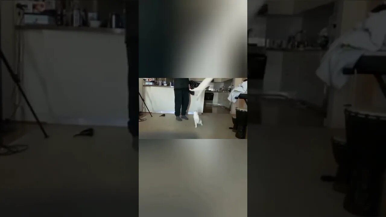 Mitä & Vittu are High Flying Gulu's!!