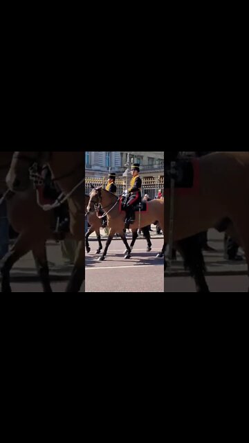 the kings troop pass by Buckingham Palace #horseguardsparade