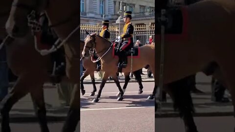 the kings troop pass by Buckingham Palace #horseguardsparade