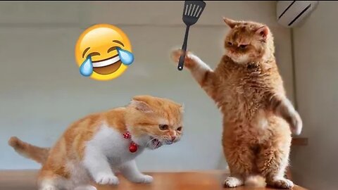 Funny animal videos try not to laugh 🤣🤣🤣🤣🤣