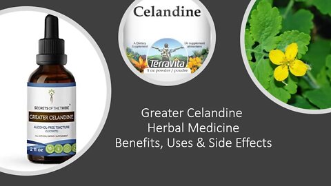 Greater Celandine Herbal Medicine Benefits, Uses & Side Effects