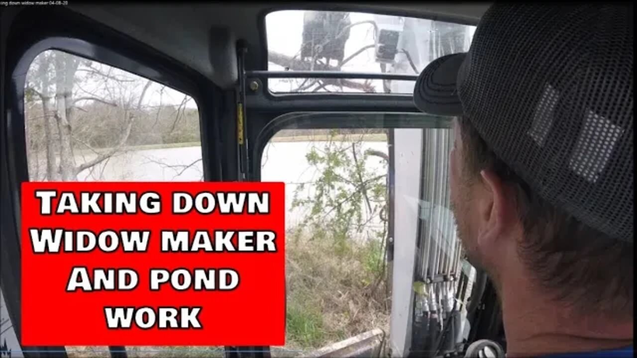 Taking down a Widow Maker & Excavator pond work